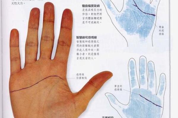 《手相学习百科》：手相看爱情