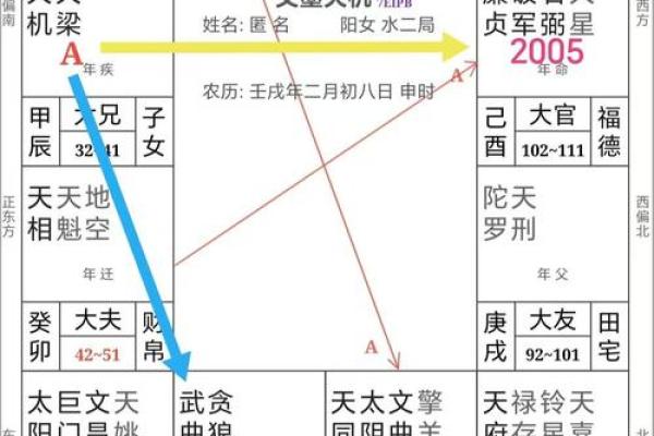 紫薇斗数流出忌