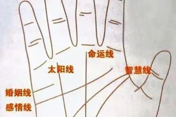 手相风水：命运线中间断开象征什么意义
