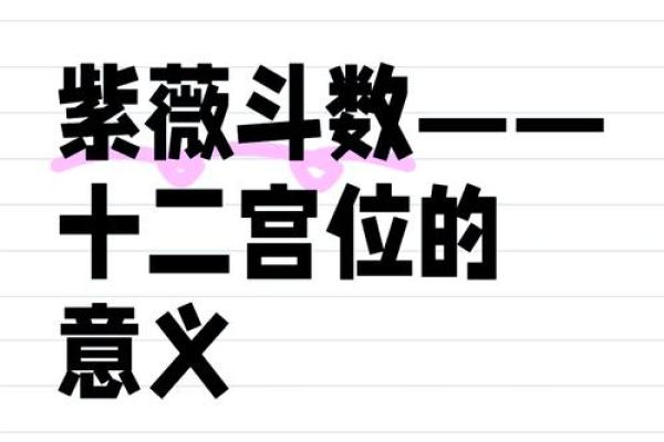 紫薇斗数命宫主星是什么