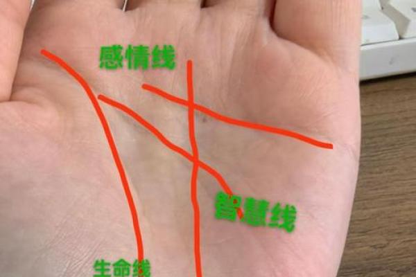 《手相学习百科》：命运线
