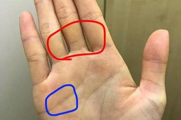 《手相学习百科》:手的形状 《手相学习百科》:手的形状