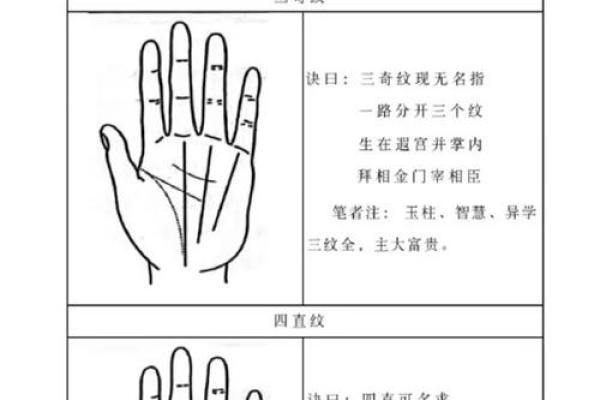 《手相学习百科》:手的形状 《手相学习百科》:手的形状