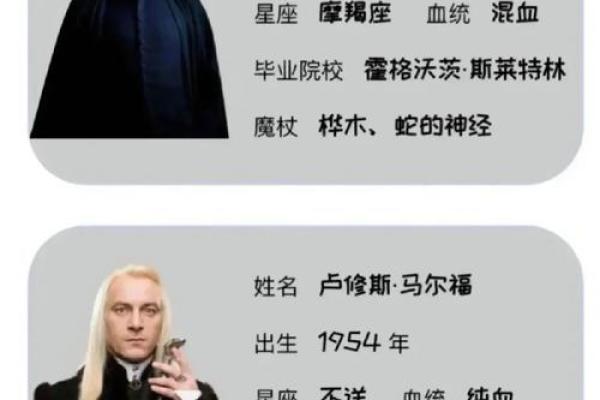 哈利波特少爷哪个星座