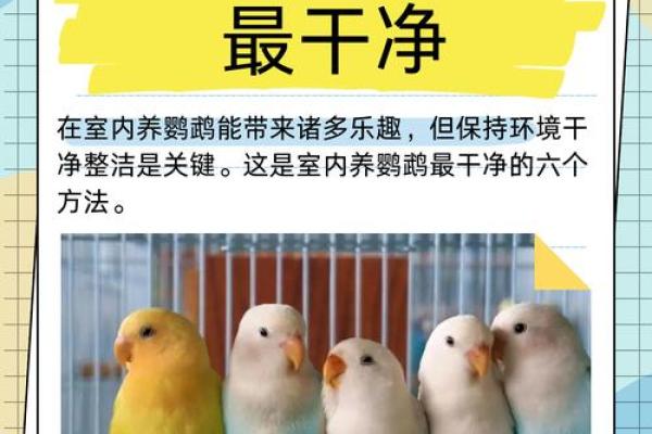 养宠物也是要讲究风水的 养宠物也是要讲究风水的