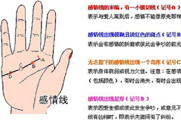 《手相学习百科》：感情线