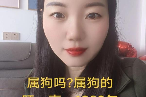 1982年属什么生肖多大年龄 1982年属什么生肖配对