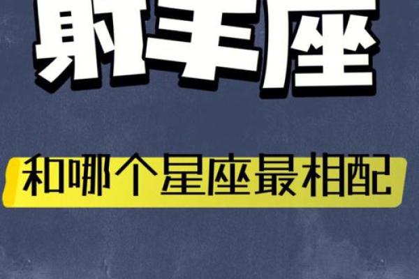 元歌最适合哪个星座