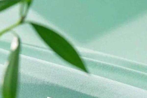 3月1日是什么节日