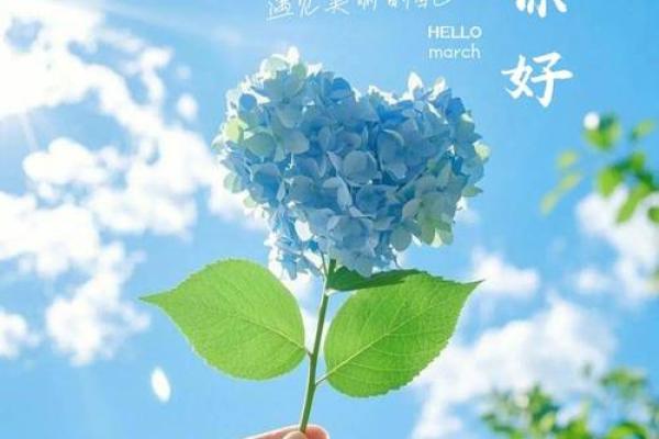 3月1日是什么节日