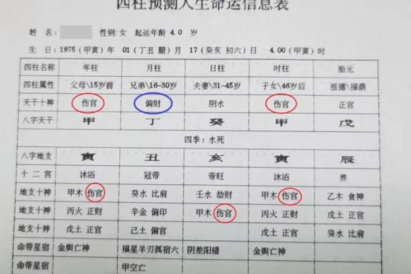 八字格局看天干还是地支