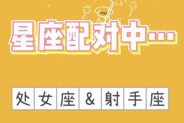 处女座和射手座合不合 处女座和射手座配对指数
