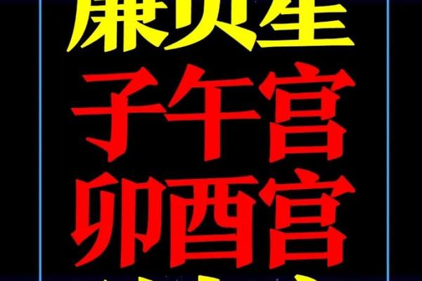 看紫薇斗数贪狼