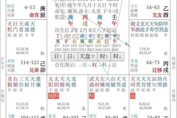 紫薇斗数律师