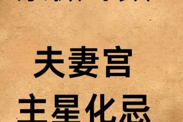 紫微斗数看未来配偶学历 紫微斗数看另一半学历？