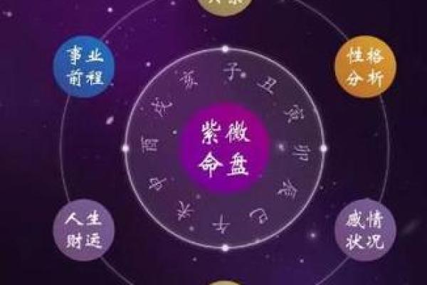 紫微紫薇斗数