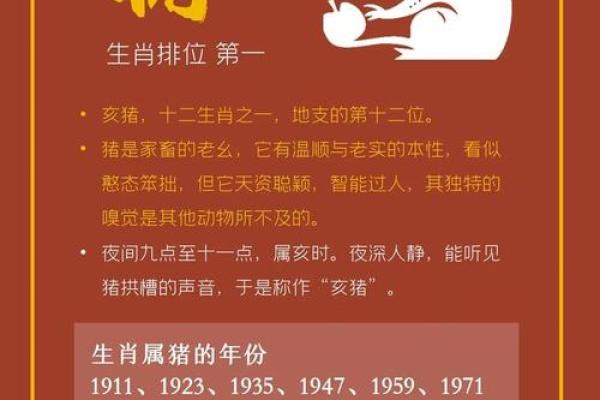 属猪男和什么属相配吗，属猪男和什么属相配对？
