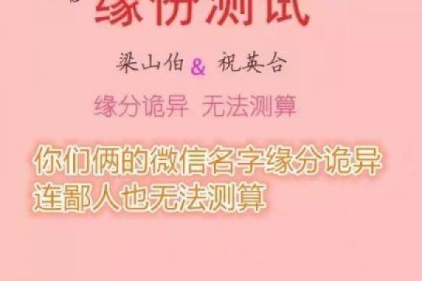 傅和戚姓名配对 傅戚小说？