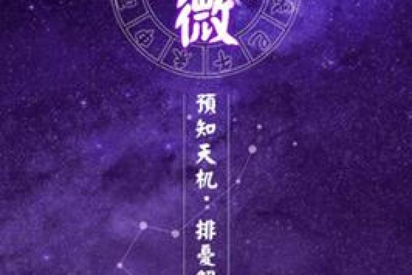 我是紫薇斗数