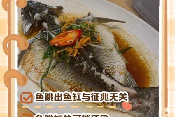 风水角度鱼从鱼缸里跳出来有什么寓意预兆