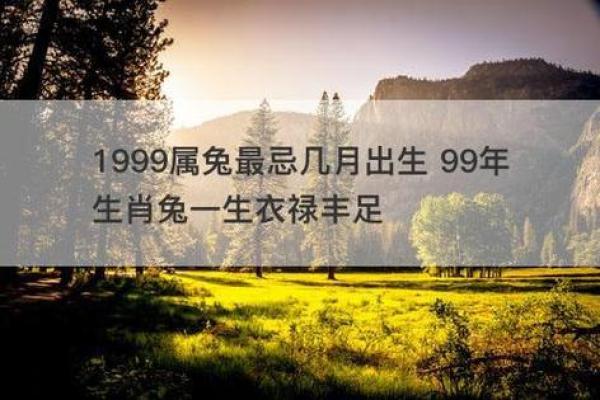 99年属兔女的最佳结婚年龄,1999年属兔婚配男人