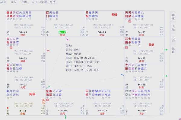 免费的紫微斗数排盘 免费紫微斗数排盘及含义？