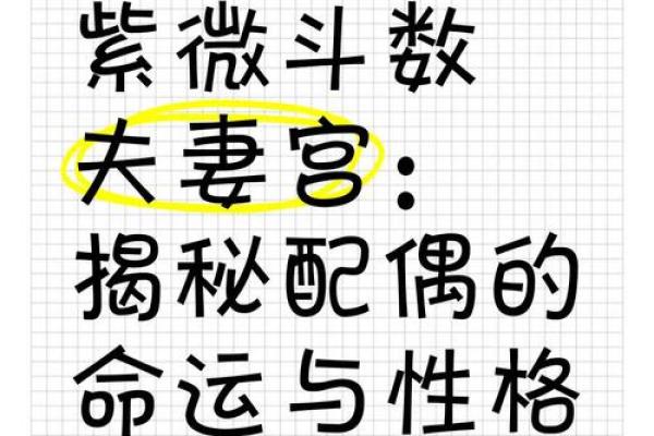 紫微斗数二婚 紫微斗数二婚配偶特征？