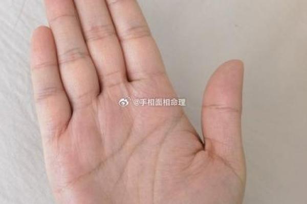 《手相学习百科》:掌丘 《手相学习百科》:掌丘