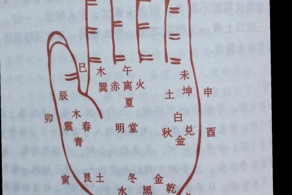 怎样看手纹给自己算命 富贵的手相