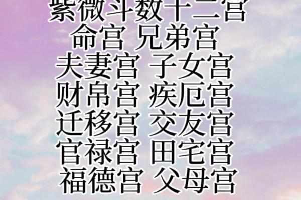 紫薇斗数紫薇入命