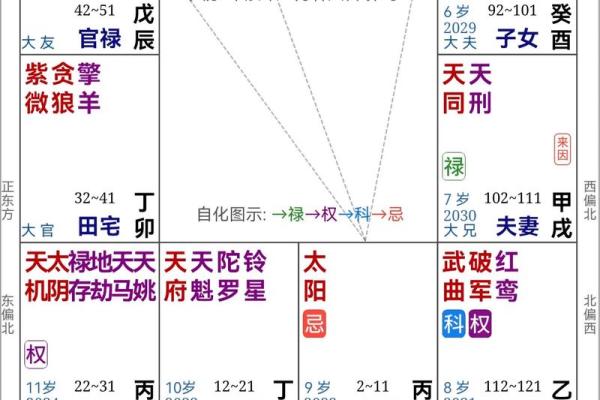 紫薇斗数紫薇入命