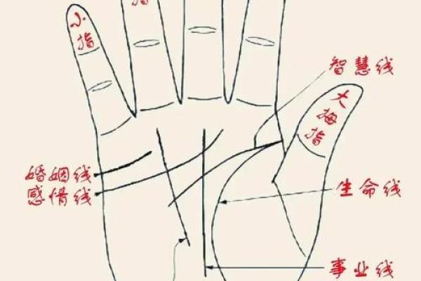 《手相学习百科》:手相重要辅线 《手相学习百科》:手相重要辅线