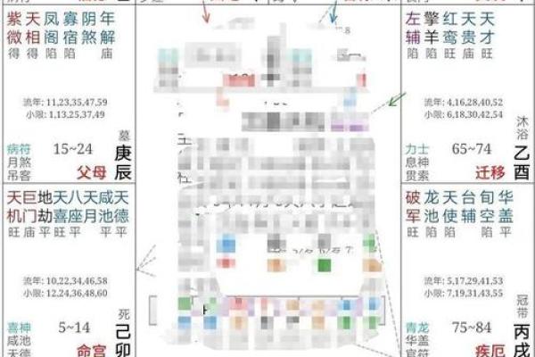 紫薇斗数干什么用的