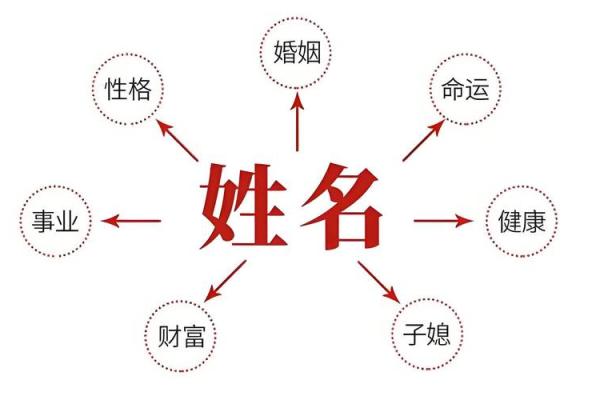 免费生辰八字起名软件