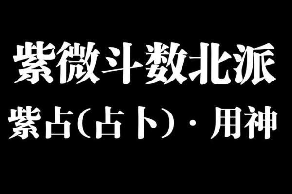 神巴巴紫薇斗数下载