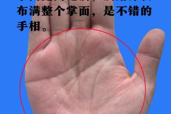 《手相学习百科》：认识双手