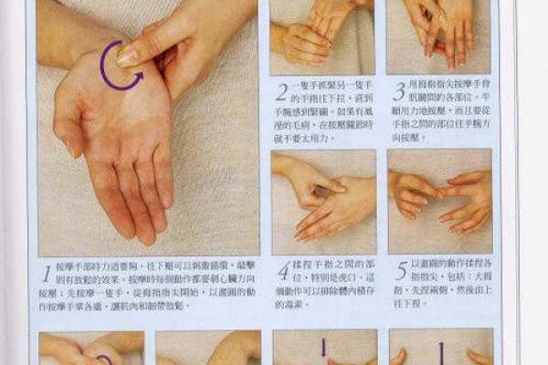 《手相学习百科》：认识双手