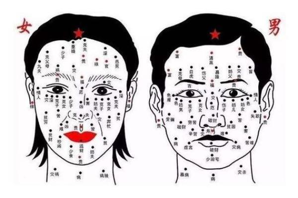 面相算命看法的特征,面相的基本看法