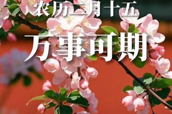 3月15日是什么节日