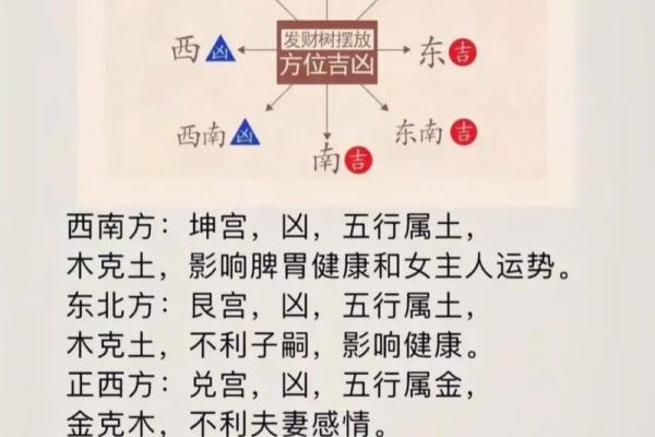 买了“发财树”，别把方位摆错