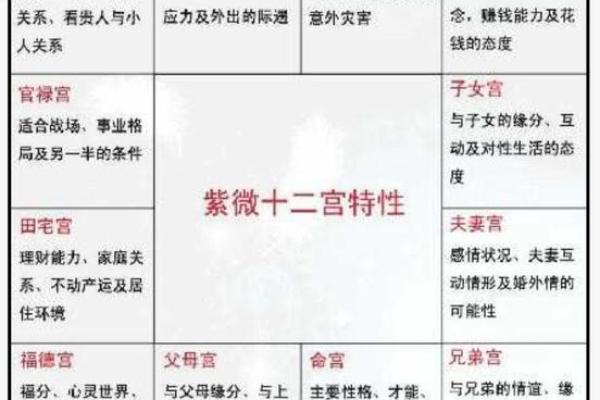 紫微斗数诸星落诸宫之:破军星夫妻宫详解 紫微斗数诸星落诸宫之:破军星夫妻宫详解