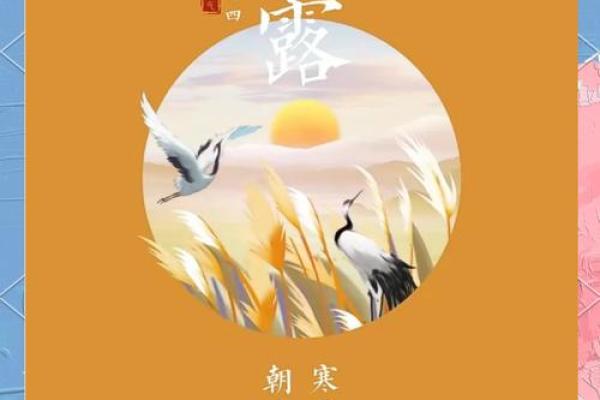 寒生露凝，透过民俗望寒露禁忌