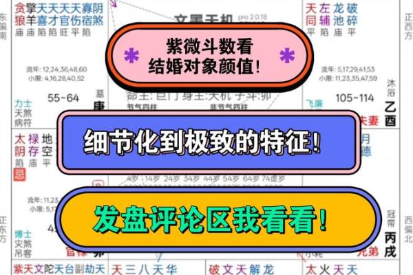 紫薇斗数看婚配