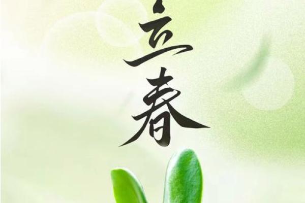 什么是立春的风水