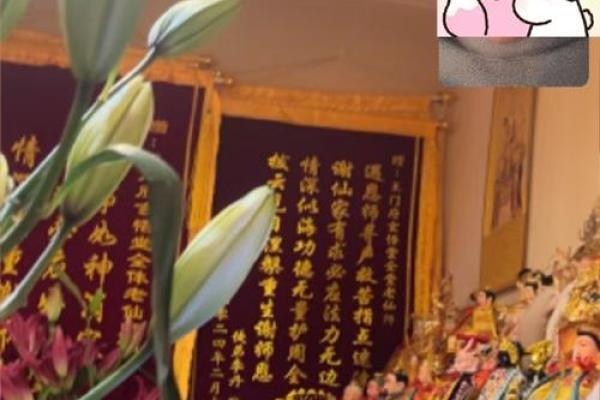 算命说孩子是仙家赐给我的