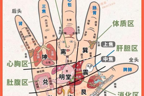 《手相学习百科》:掌脊纹 《手相学习百科》:掌脊纹