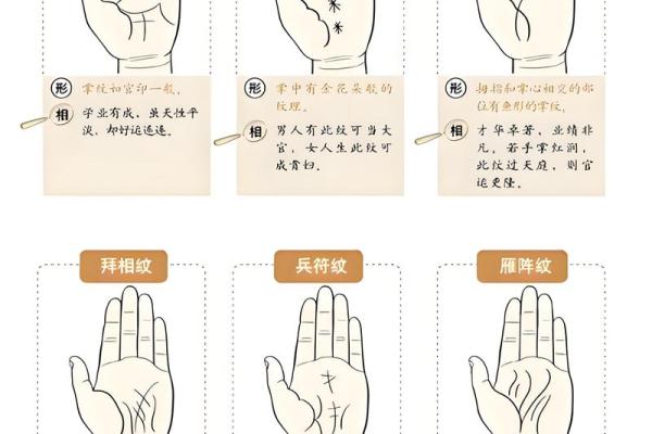 《手相学习百科》:掌脊纹 《手相学习百科》:掌脊纹