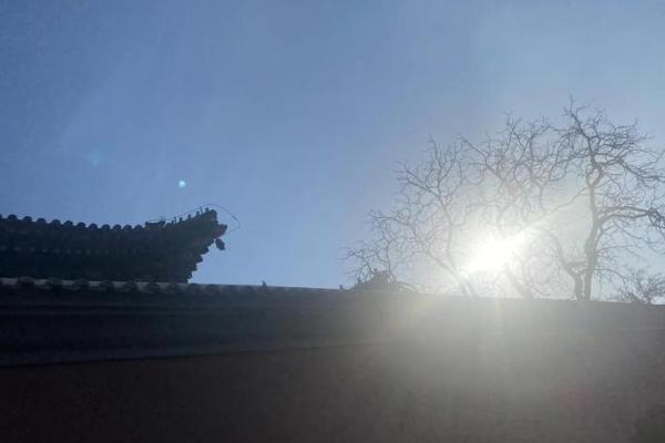 灵狐许愿签
