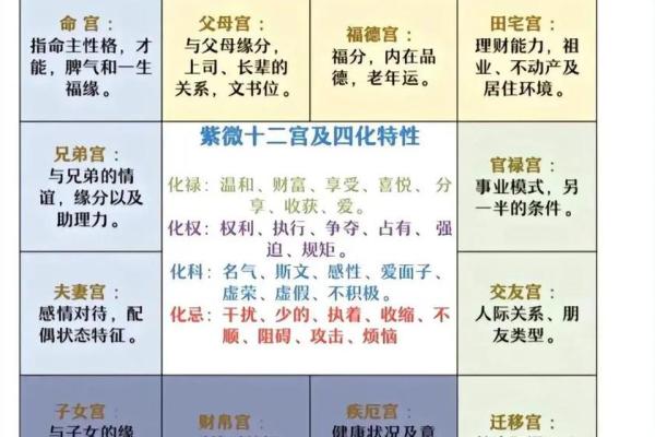 紫薇斗数富贵格