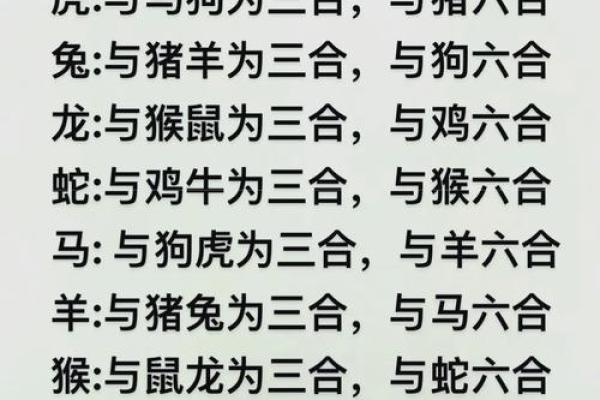 1996年属什么生肖配对